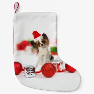 Cute Papillon-hond Kerstman-muts Kleine Kerstsok