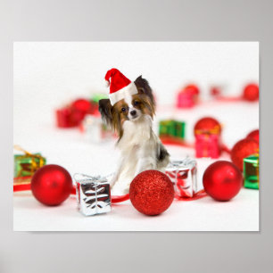 Cute Papillon-hond Kerstman-muts Poster