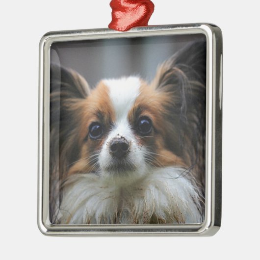 Cute papillon hond metalen ornament (Links)