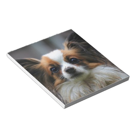 Cute papillon hond notitieblok (Schuin)