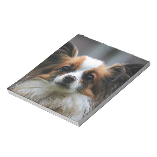 Cute papillon hond notitieblok (Linkerzijde)