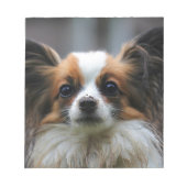 Cute papillon hond notitieblok (Voorkant)