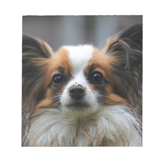 Cute papillon hond notitieblok (Voorkant)