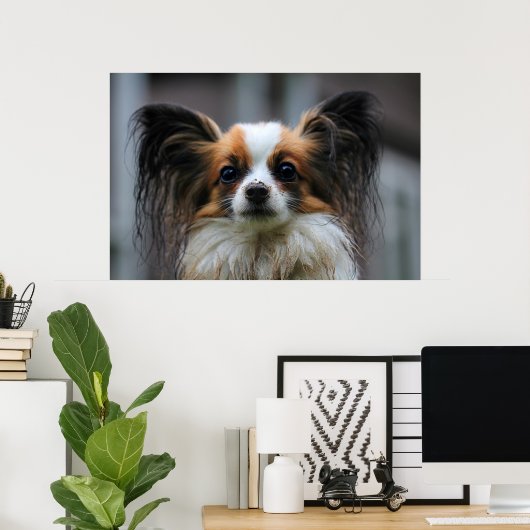 Cute papillon hond poster (Thuiskantoor)