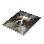 Cute papillon hond tegeltje (Zijkant)