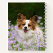 Cute Papillon Spaniel Head Foto-Hondenliefhebbers  Notitieboek (Achterkant)
