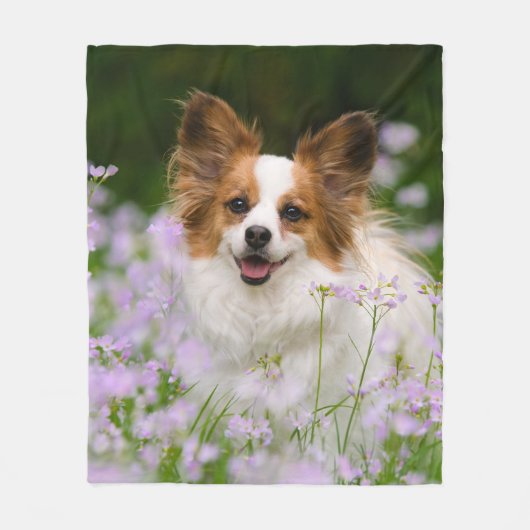 Cute Papillon Spaniel Head Foto voor Hondenliefheb Fleece Deken (Voorkant)