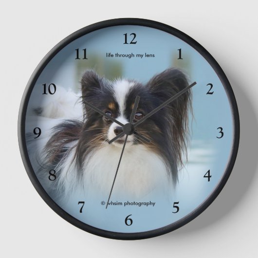 Cute Papillon Speelgoed Spaniel Dog aan de Dock (Voorkant)