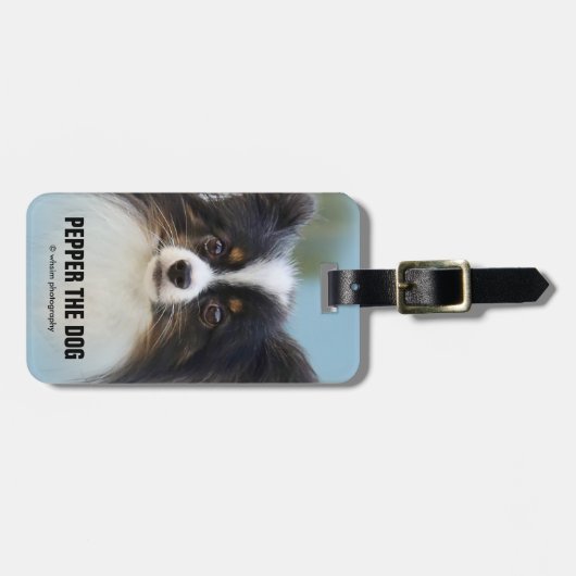 Cute Papillon Speelgoed Spaniel Dog aan de Dock Bagagelabel (Voorkant horizontaal)