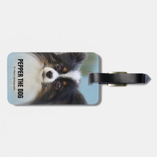 Cute Papillon Speelgoed Spaniel Dog aan de Dock Bagagelabel (Achterkant horizontaal)