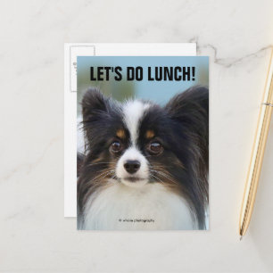 Cute Papillon Speelgoed Spaniel Dog aan de Dock Briefkaart