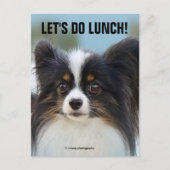 Cute Papillon Speelgoed Spaniel Dog aan de Dock Briefkaart (Voorkant)