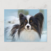 Cute Papillon Speelgoed Spaniel Dog aan de Dock Briefkaart (Voorkant)