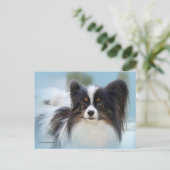 Cute Papillon Speelgoed Spaniel Dog aan de Dock Briefkaart (Staand voorkant)