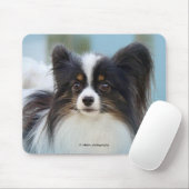 Cute Papillon Speelgoed Spaniel Dog aan de Dock Muismat (Met muis)