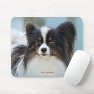 Cute Papillon Speelgoed Spaniel Dog aan de Dock Muismat