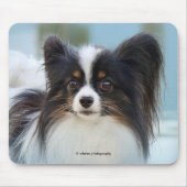 Cute Papillon Speelgoed Spaniel Dog aan de Dock Muismat (Voorkant)