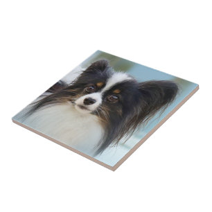 Cute Papillon Speelgoed Spaniel Dog aan de Dock Tegeltje