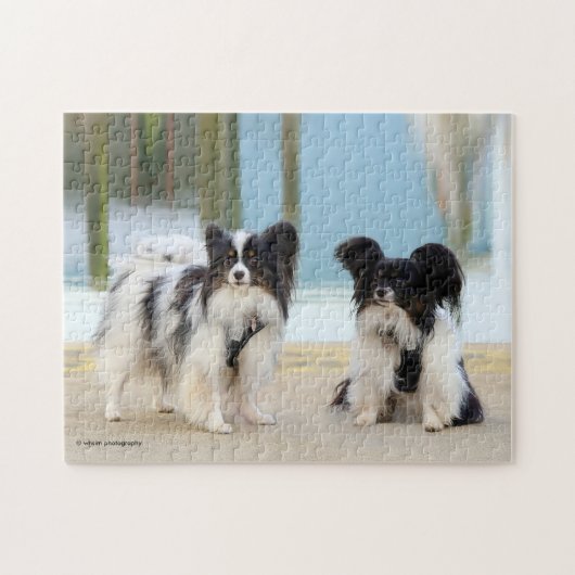 Cute Papillon Speelgoed Spanjaarden Honden in het  Legpuzzel (Horizontaal)