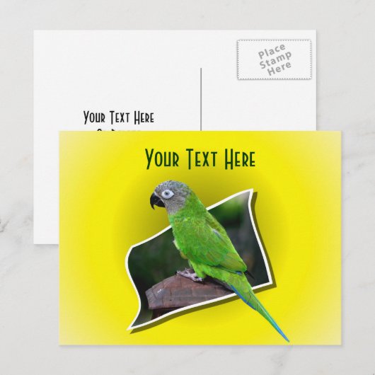 Cute Parrot Animal Briefkaart (Voorkant / Achterkant)