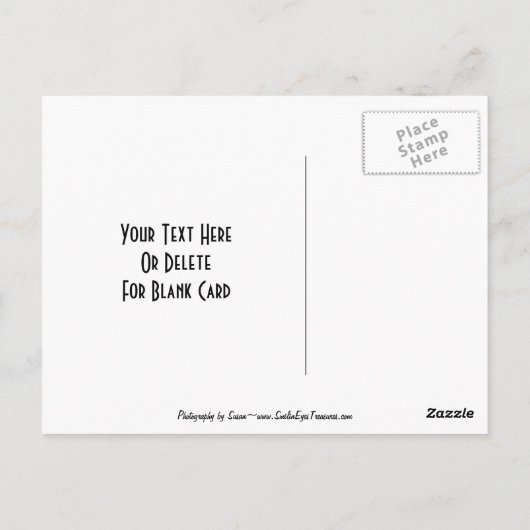 Cute Parrot Animal  Briefkaart (Achterkant)