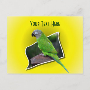 Cute Parrot Animal  Briefkaart