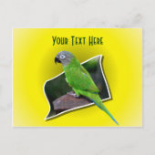 Cute Parrot Animal Briefkaart (Voorkant)