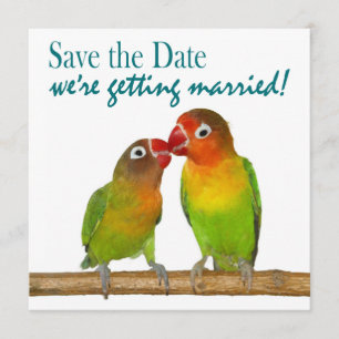 Cute Parrot Tortelduifjes Tropical Save the Date