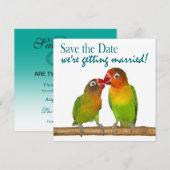 Cute Parrot Tortelduifjes Tropical Save the Date (Voorkant / Achterkant)