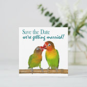 Cute Parrot Tortelduifjes Tropical Save the Date (Staand voorkant)