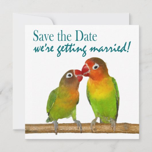 Cute Parrot Tortelduifjes Tropical Save the Date (Voorkant)