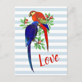 Cute Parrots in Love Blue Red Colorful  Briefkaart