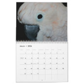 Cute Parrots Kalender (Mar 2026)