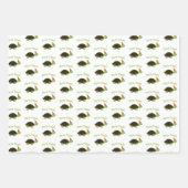 Cute Party Time Turtle Inpakpapier Vel (Voorkant)