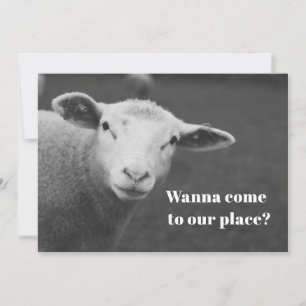 Cute Passover Invitation Kaart