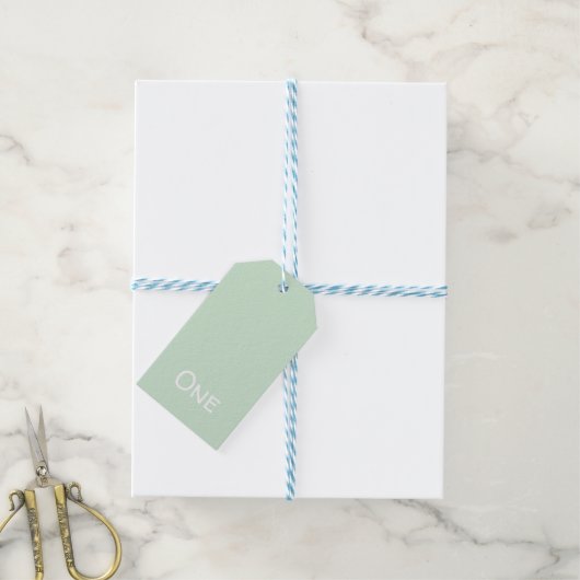 Cute Pastel Green One Year Old Gift Label Cadeaulabel (Met Touw)