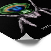 Cute Peacock Spider Digital Art Poster (Hoek)