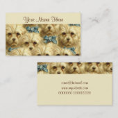 Cute  Pedigree Dog Terrier Portrait Collage Visitekaartje (Voorkant / Achterkant)