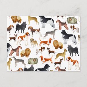 Cute Pedigree Pet Dog Wallpaper Design Briefkaart