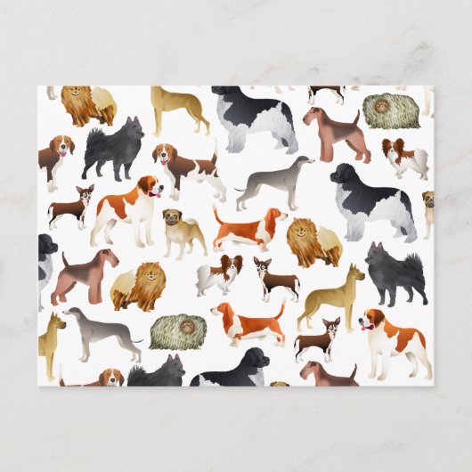 Cute Pedigree Pet Dog Wallpaper Design Briefkaart (Voorkant)