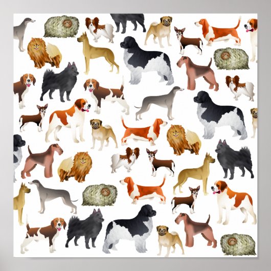 Cute Pedigree Pet Dog Wallpaper Design Poster (Voorkant)