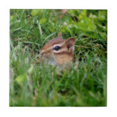Cute Peeking Chipmunk Animal Tegeltje (Voorkant)