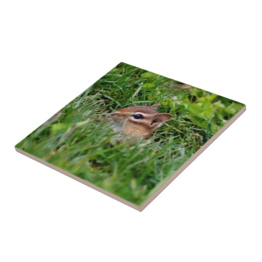 Cute Peeking Chipmunk Animal Tegeltje (Zijkant)