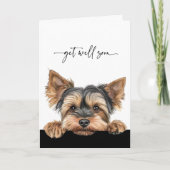 Cute Peeking Yorkie Script Get Well Soon Kaart (Voorkant)
