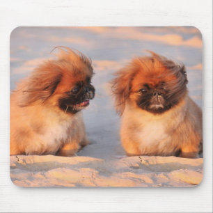Cute Pekingese Dogs Muismat