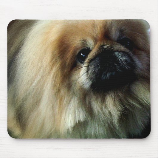 Cute Pekingese Muismat (Voorkant)