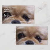 Cute Pekingese Puppy Visitekaartjes (Voorkant / Achterkant)