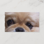 Cute Pekingese Puppy Visitekaartjes (Achterkant)