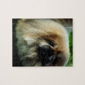 Cute Pekingese Puzzle Legpuzzel (Horizontaal)