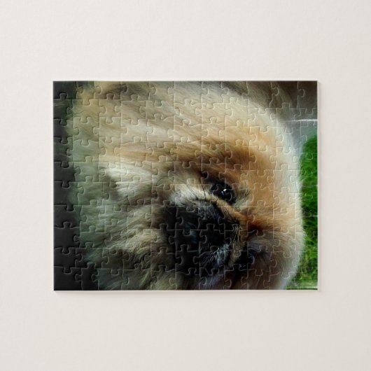 Cute Pekingese Puzzle Legpuzzel (Horizontaal)